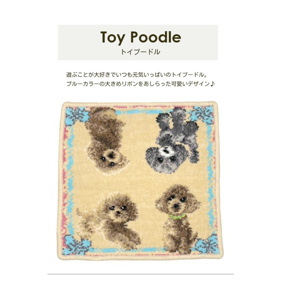 新柄追加 シェニール織 タオルハンカチ 日本製 綿100％ 犬 愛犬 わん