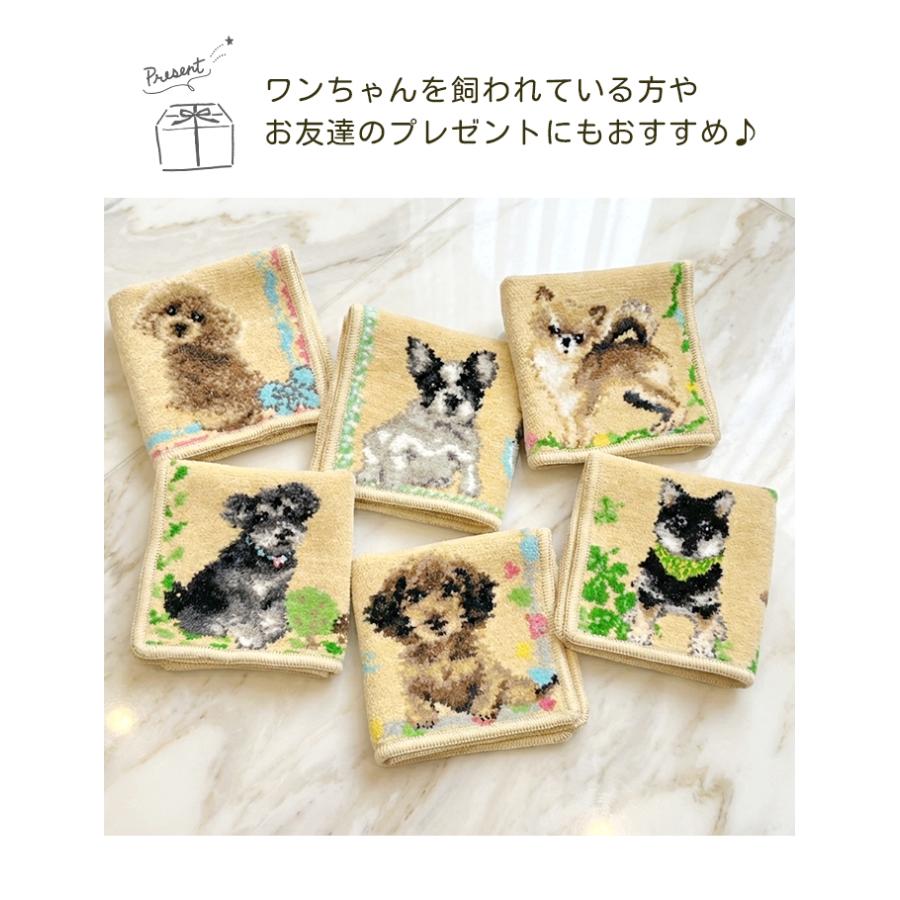 新柄追加 シェニール織 タオルハンカチ 日本製 綿100％ 犬 愛犬 わん