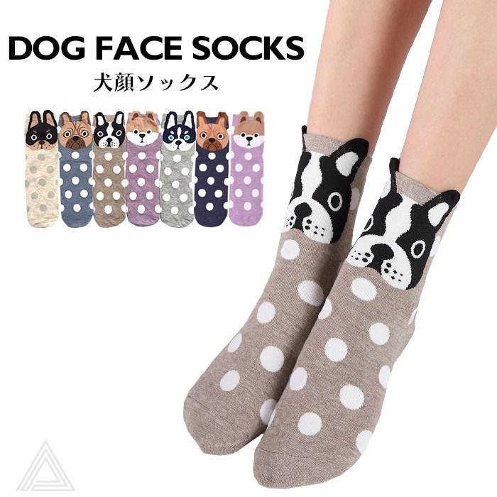 ソックスドッグ　ベレー帽のプードル　プードル ソックスドッグ ベレー帽のプードル プードル