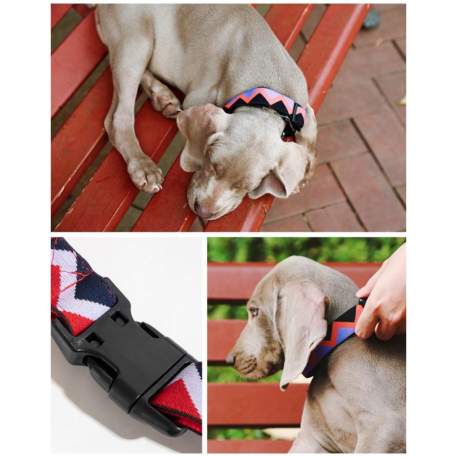 HiDREAM 首輪 犬 フレンチブルドッグ 小型犬 中型犬 大型犬