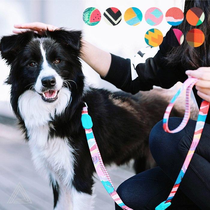 HiDREAM リード 犬 フレンチブルドッグ 長さ調整可能 超小型犬 中型犬