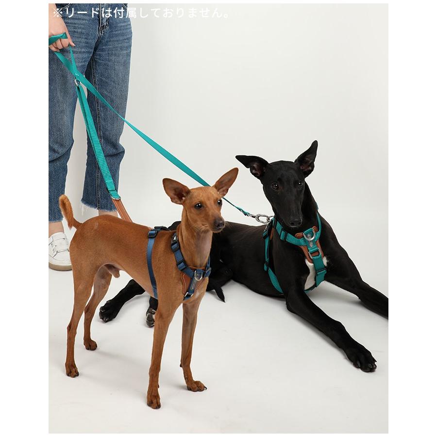 HiDREAM ハーネス 犬 PVCレザー フレンチブルドッグ イタグレ 小型犬