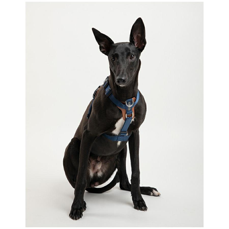 HiDREAM ハーネス 犬 PVCレザー フレンチブルドッグ イタグレ 小型犬