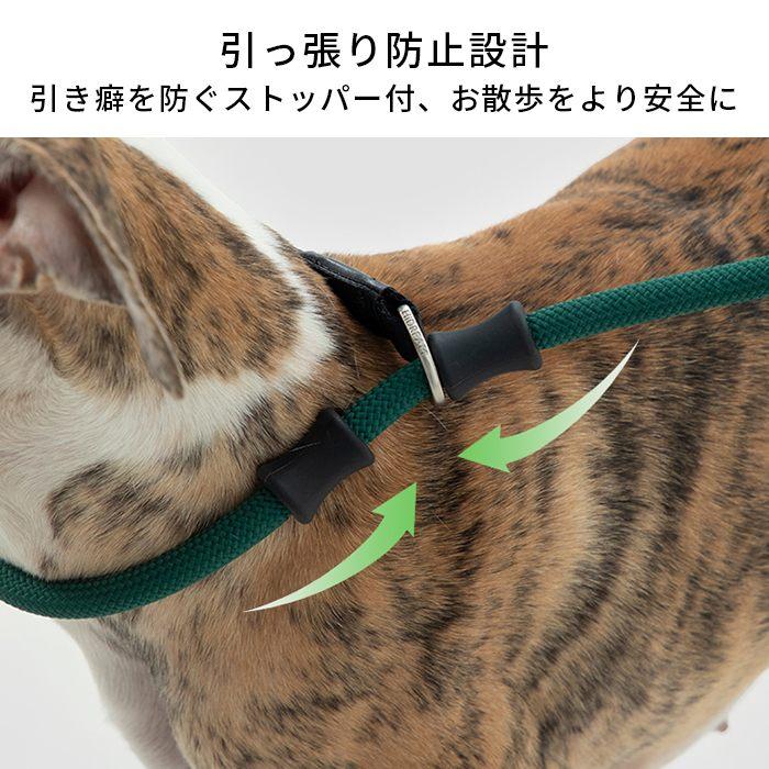 HiDREAM 犬 リード 首輪とリード一体型 180cm トレーニング用