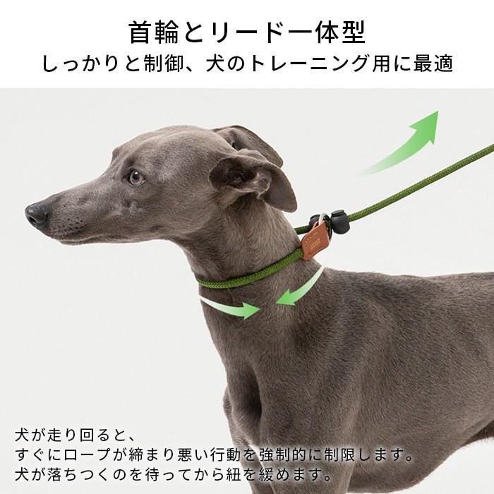 HiDREAM 犬 リード 首輪とリード一体型 150cm トレーニング用