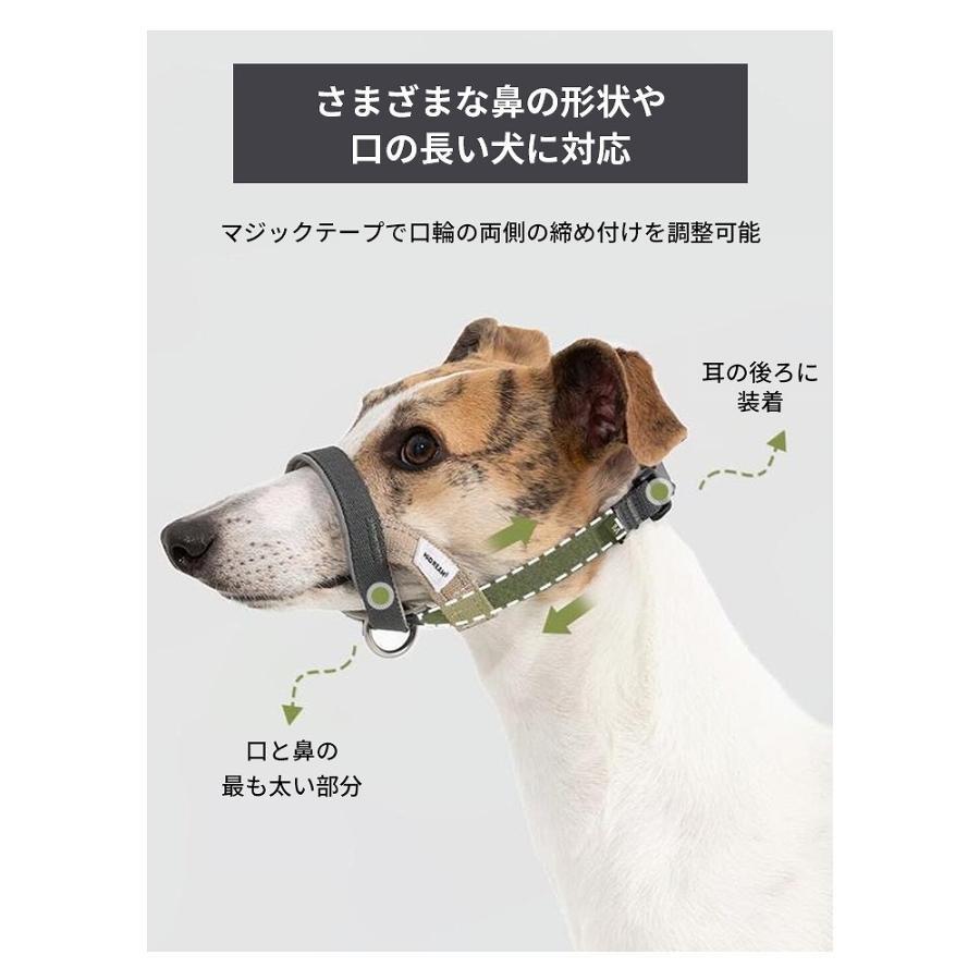 引っ張り防止 ペットカラー ジェントルリーダー S M L XL 小型犬 中型