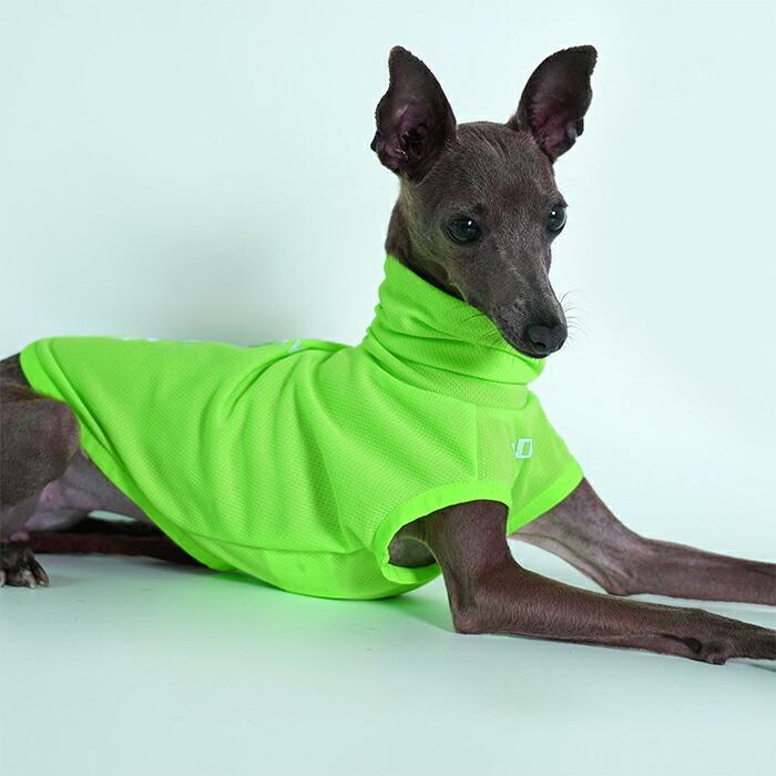 送料無料 イタリアングレーハウンド 服 イタグレ おしゃれ 犬服