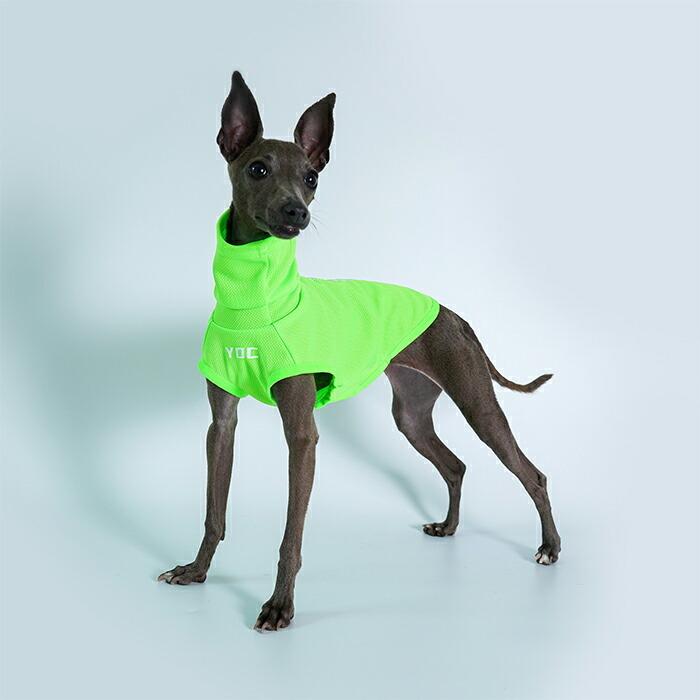 送料無料 イタリアングレーハウンド 服 イタグレ おしゃれ 犬服 夏