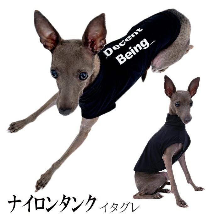 新作登場 イタリアングレーハウンド 服 夏服 イタグレ 犬服 春 夏