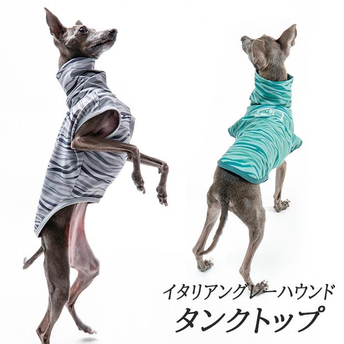 新作登場 イタリアングレーハウンド ミニピン 服 夏服 イタグレ