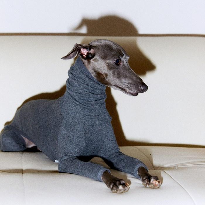 新作 保温 ストレッチ ミニピン イタリアングレーハウンド ロンパース