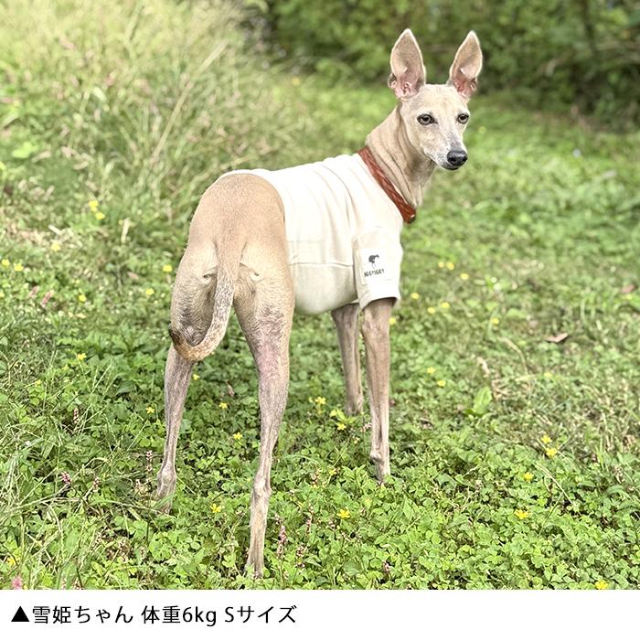 新色追加 イタグレ服 吸湿発熱 抗菌防臭 Tシャツ フリース素材 伸びが