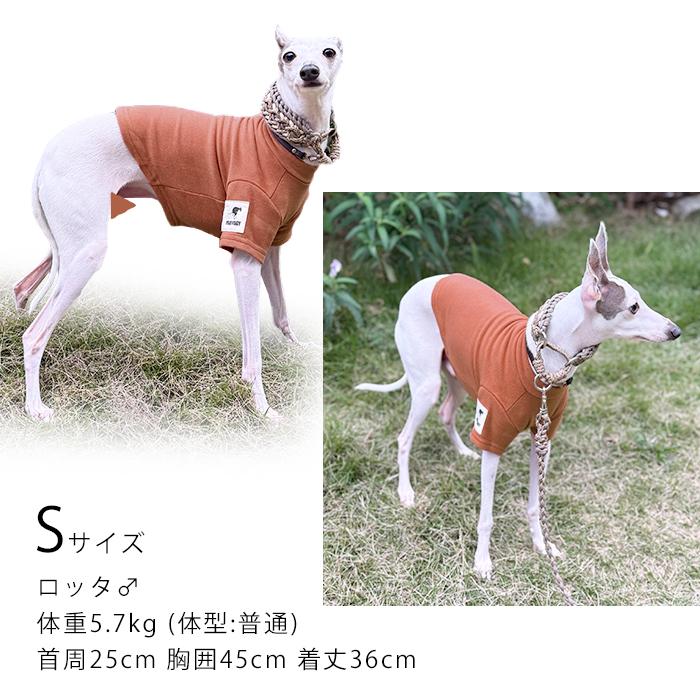 新色追加 イタグレ服 吸湿発熱 抗菌防臭 Tシャツ フリース素材 伸びが