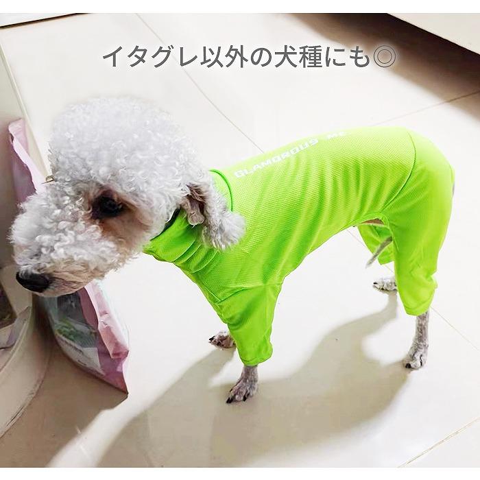 イタグレ 服 メッシュロンパース ネオンカラー 蛍光色 春夏