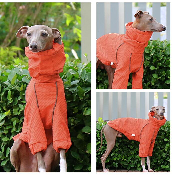イタグレ 撥水 ジャケット アウター イタグレ服 速乾 冬 犬 軽い 保温