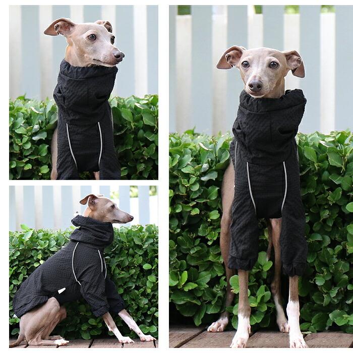 イタグレ 撥水 ジャケット アウター イタグレ服 速乾 冬 犬 軽い 保温