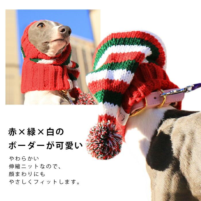 イタグレ ニット帽 クリスマス 犬 ボーダー柄 ウィペット ミニピン