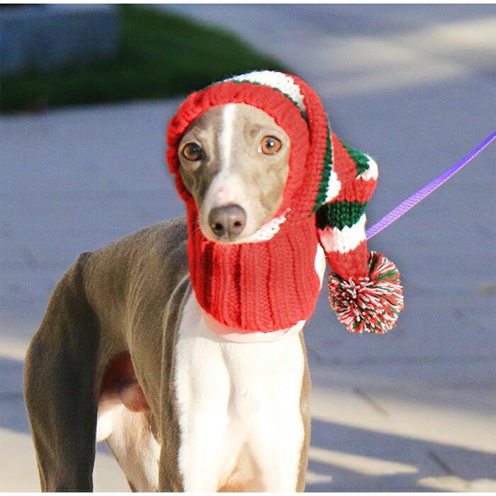 イタグレ ニット帽 クリスマス 犬 ボーダー柄 ウィペット ミニピン