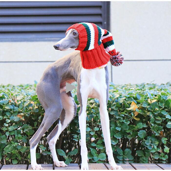 イタグレ ニット帽 クリスマス 犬 ボーダー柄 ウィペット ミニピン
