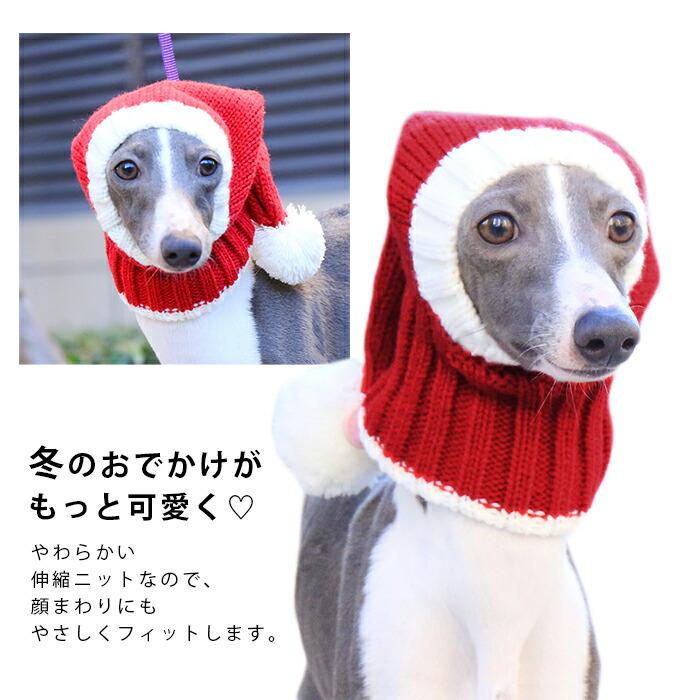 イタグレ ニット帽 クリスマス サンタ帽子 サンタ帽 犬 ウィペット