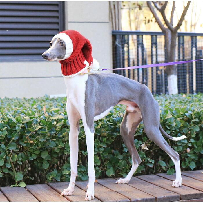 イタグレ ニット帽 クリスマス サンタ帽子 サンタ帽 犬 ウィペット