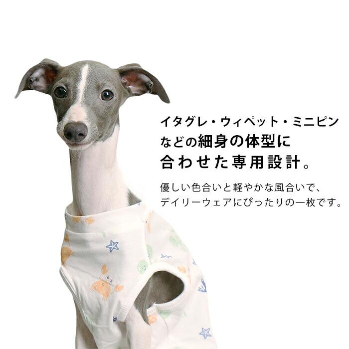 イタグレ タンクトップ ウィペット ミニピン イタグレ服 総柄プリント