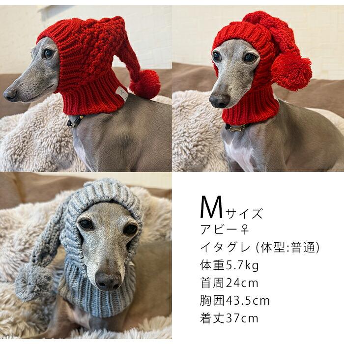 イタグレ ニット帽 犬 ウィペット ミニピン 防寒 暖かい 可愛い 冬