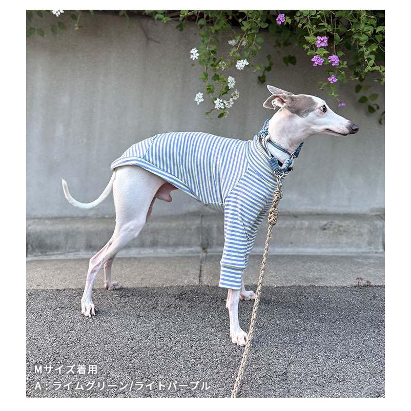 イタグレ服 ハイストレッチ 細ボーダーTシャツ カットソー 長袖Tシャツ