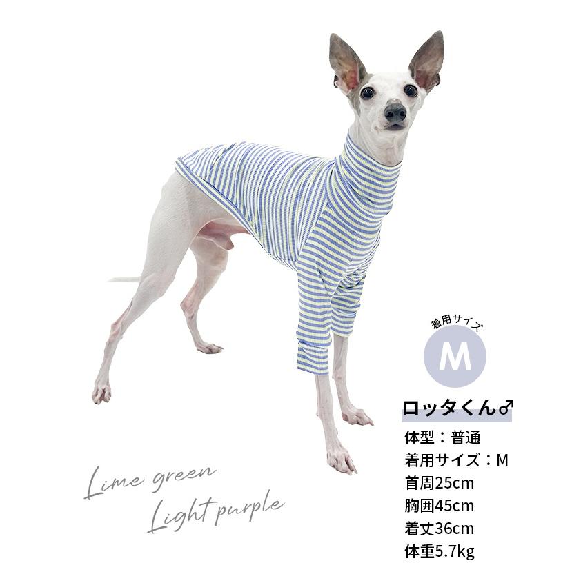 イタグレ服 ハイストレッチ 細ボーダーTシャツ カットソー 長袖Tシャツ