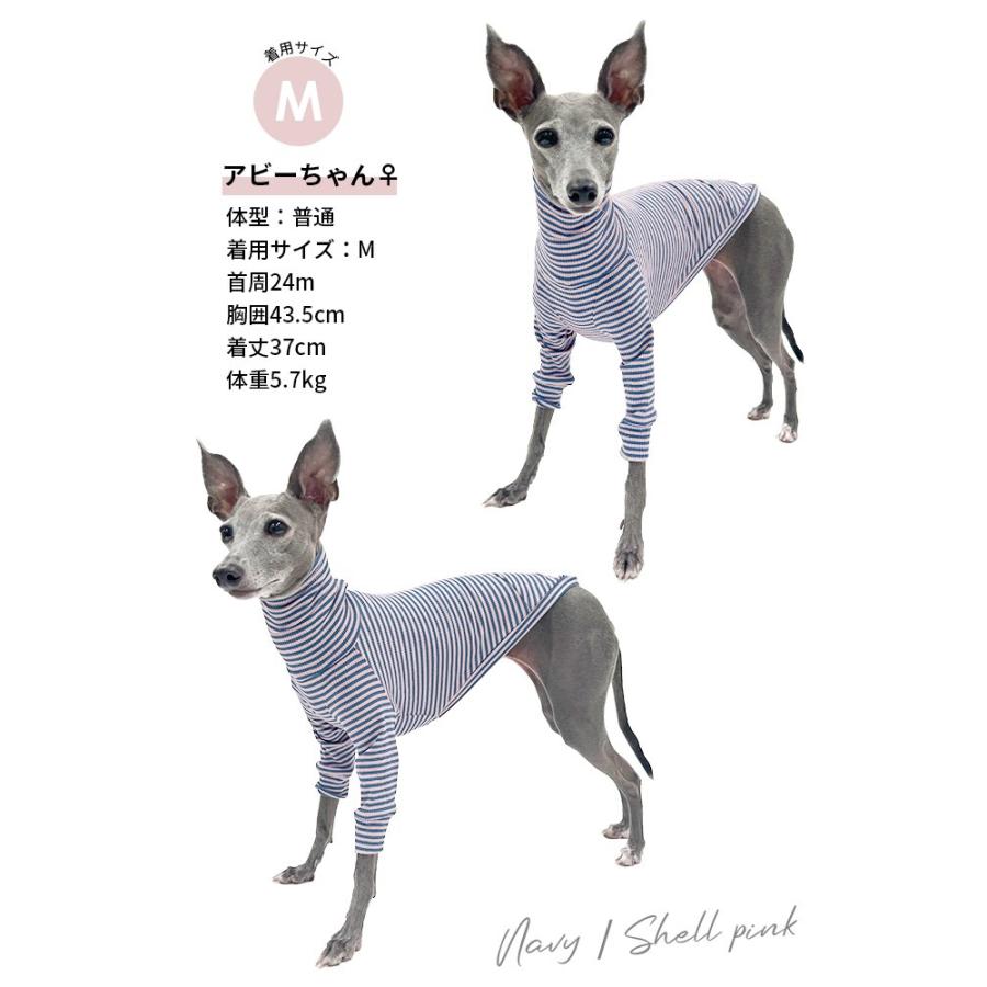 イタグレ服 ハイストレッチ 細ボーダーTシャツ カットソー 長袖Tシャツ