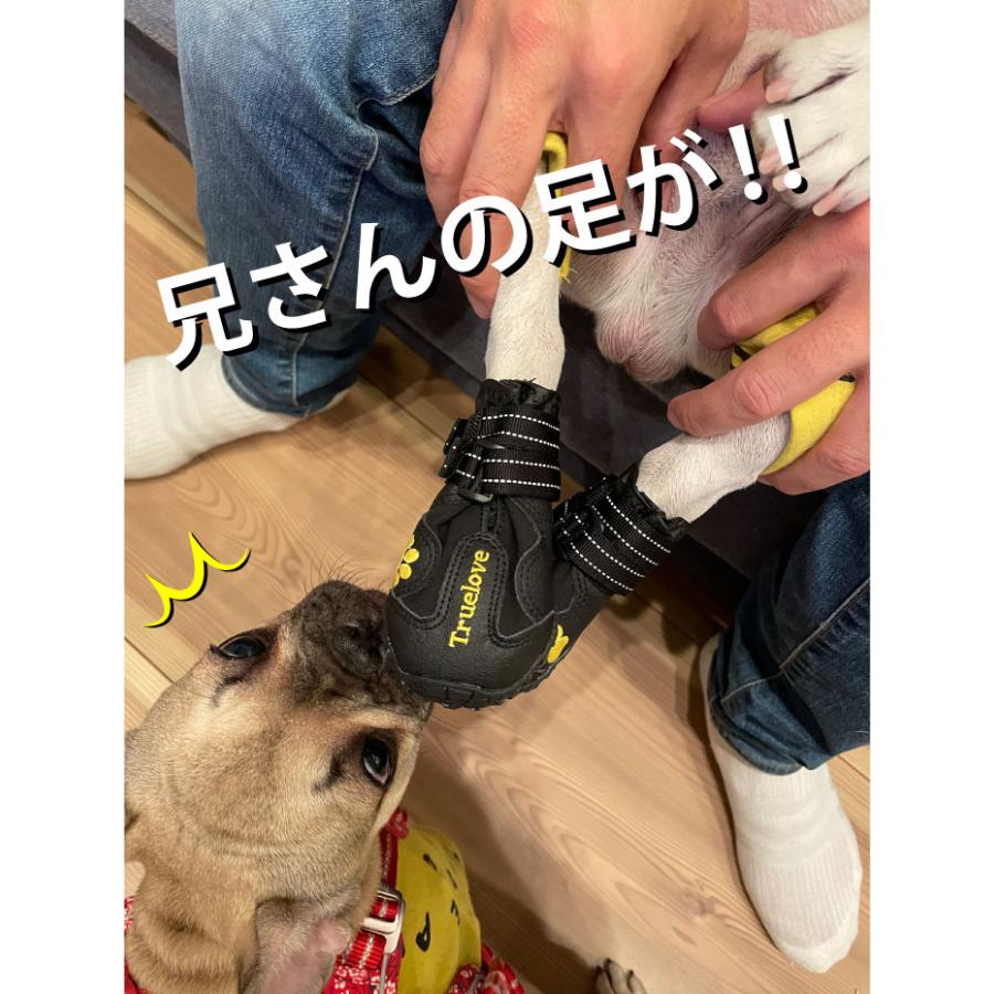 お試し2足入  Truelove 犬 靴 犬靴 ドッグシューズ シューズ 脱げない マジックテープ 散歩 夏 冬 防寒 雪 ハード 防水 スポーツ フレンチブルドック | Truelove | 10