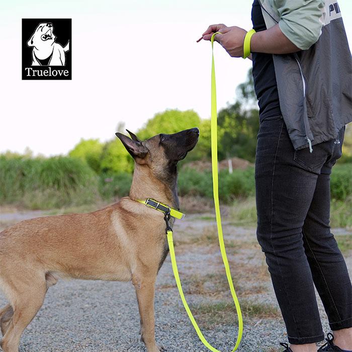 Truelove 防水首輪 リード セット 犬 ウォータープルーフ 犬用 防水リード 首輪 ドッグ ペット 安全 安心 小型犬 中型犬 大型犬 3XS 2XS XS S | Truelove | 10
