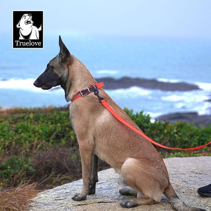Truelove 防水首輪 リード セット 犬 ウォータープルーフ 犬用 防水リード 首輪 ドッグ ペット 安全 安心 小型犬 中型犬 大型犬 3XS 2XS XS S | Truelove | 11