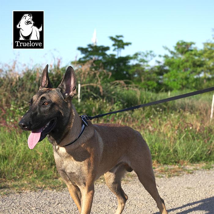 Truelove 防水首輪 リード セット 犬 ウォータープルーフ 犬用 防水リード 首輪 ドッグ ペット 安全 安心 小型犬 中型犬 大型犬 3XS 2XS XS S | Truelove | 12