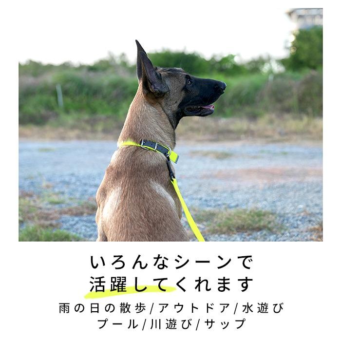Truelove 防水首輪 リード セット 犬 ウォータープルーフ 犬用 防水リード 首輪 ドッグ ペット 安全 安心 小型犬 中型犬 大型犬 3XS 2XS XS S | Truelove | 01