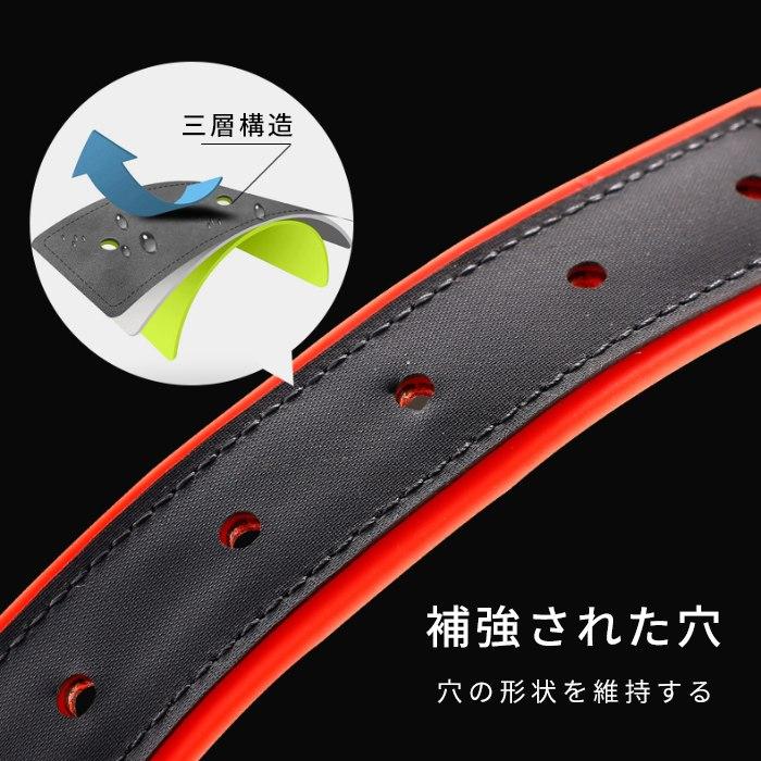 Truelove 防水首輪 リード セット 犬 ウォータープルーフ 犬用 防水リード 首輪 ドッグ ペット 安全 安心 小型犬 中型犬 大型犬 3XS 2XS XS S | Truelove | 05