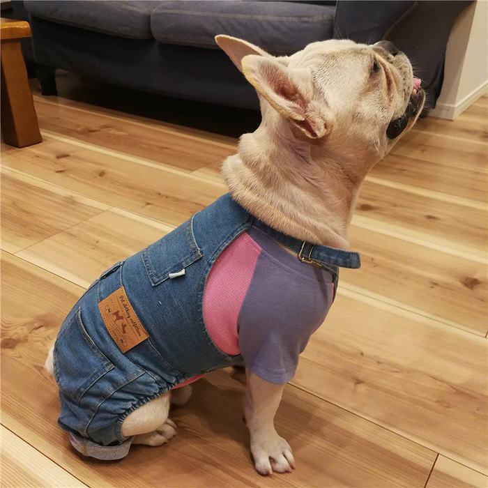 在庫売り尽くし、返品交換不可 フレンチブルドッグ サロペット