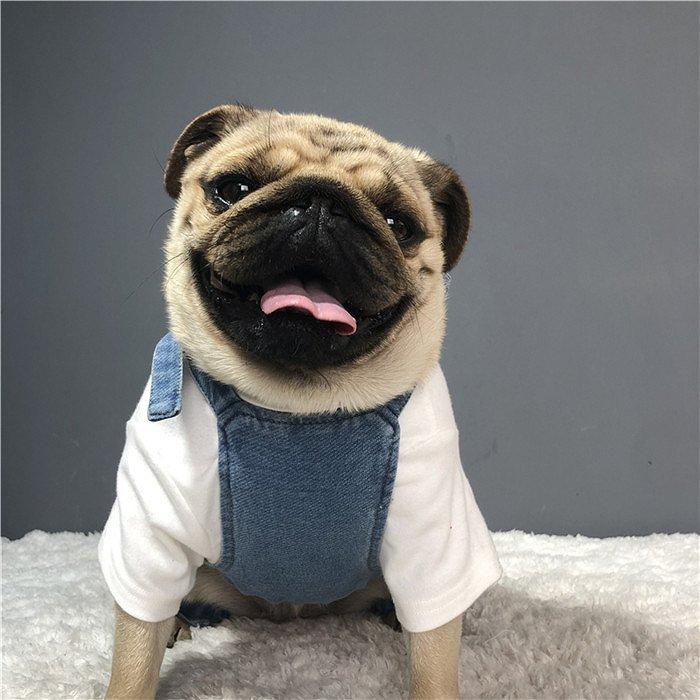 在庫売り尽くし、返品交換不可 フレンチブルドッグ サロペット