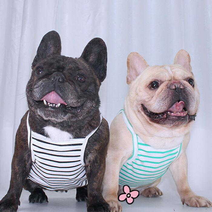 犬服 春 夏 秋 新作 キャミソール タンクトップ 袖なし ボーダー
