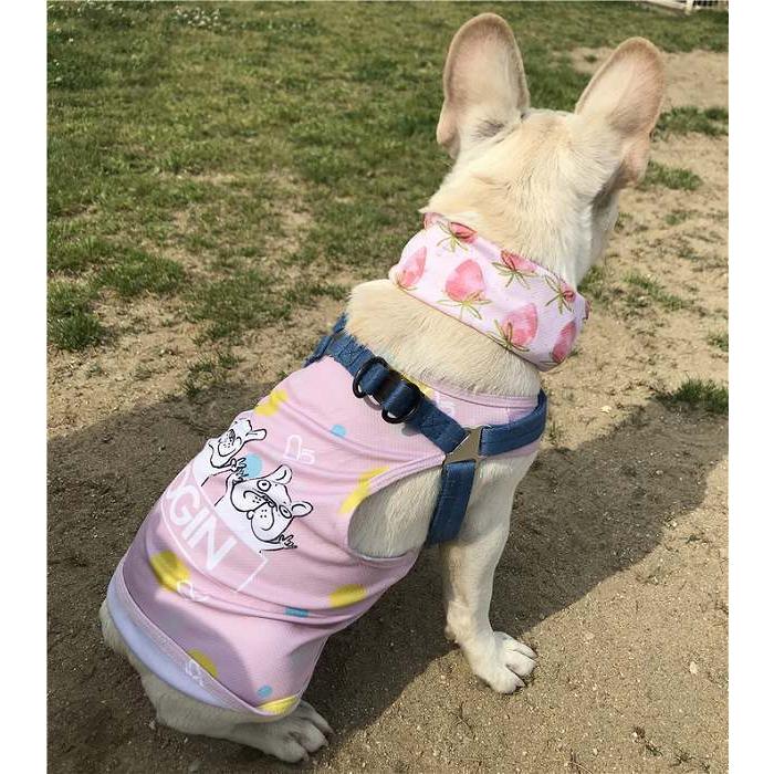 クール 接触冷感ひんやり 冷却 フレブル タンクトップ フレンチ