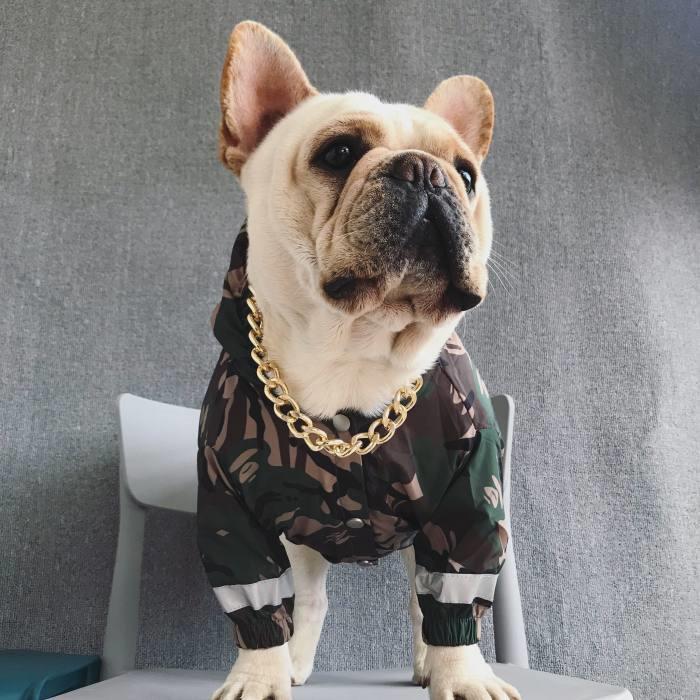 犬 服 フレブル レインコート 迷彩 防水 犬服 ドッグウェア 小型犬