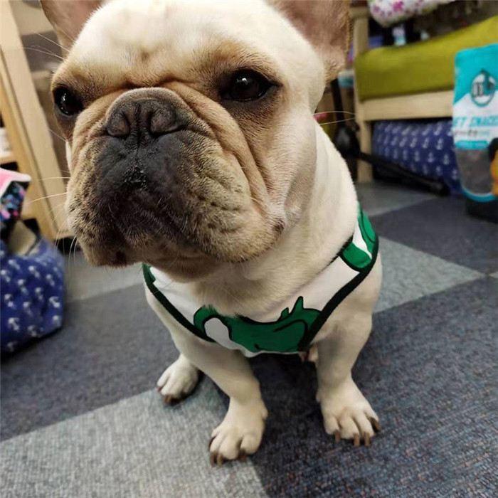 犬 服 夏 タンクトップ フレンチブルドッグ 象さん ゾウさん