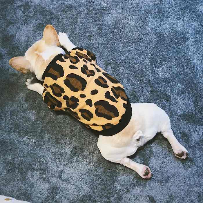 在庫売り尽くし、返品交換不可 フレンチブルドッグ 服 犬 秋 冬 二層
