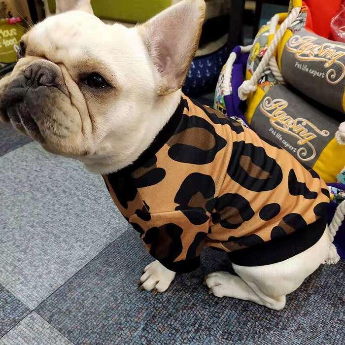 マジュ●犬服●ハンドメイド 胴51 NO.637 フレブル マジュ様専用○犬服○ハンドメイド 胴51 NO.637 フレブル - メルカリ