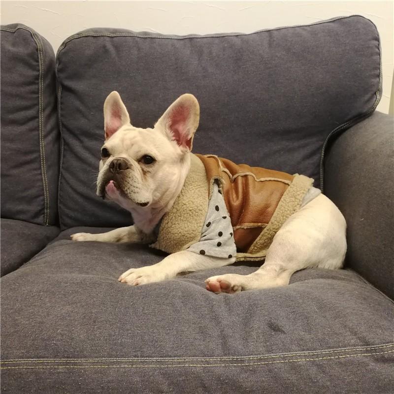 フレンチブルドッグ 服 ベスト 犬服 ドッグウェア 革ジャン ジャンバー ボア 暖か Km042t Km042t Best Wear 通販 Yahoo ショッピング