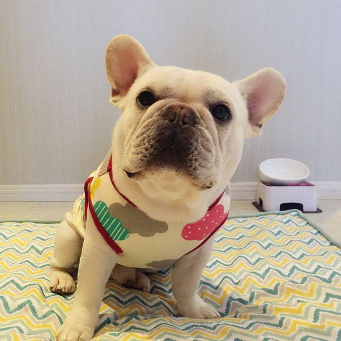 犬 服 夏 フレブル タンクトップ フレンチブルドッグ 犬服 ドッグ