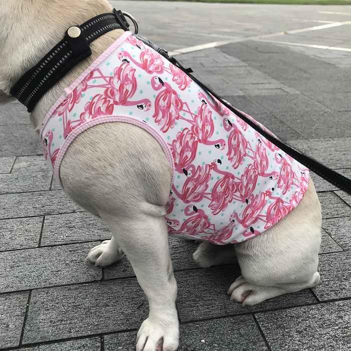 犬 服 夏 タンクトップ フレブルピンク フラミンゴ フレンチ