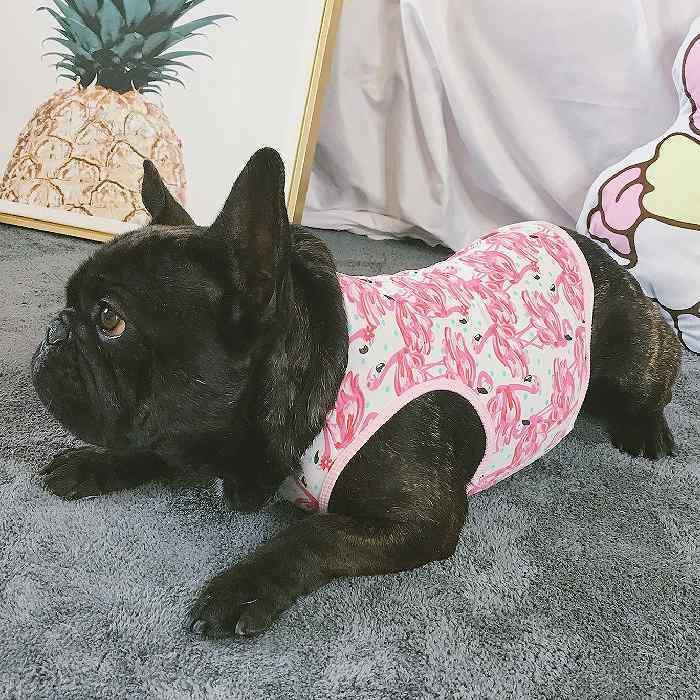 専用　フレブル　タンクトップ　Ｌ　花柄　ハンドメイド 楽天市場】【当社オリジナル】フレンチブルドッグ フレブル