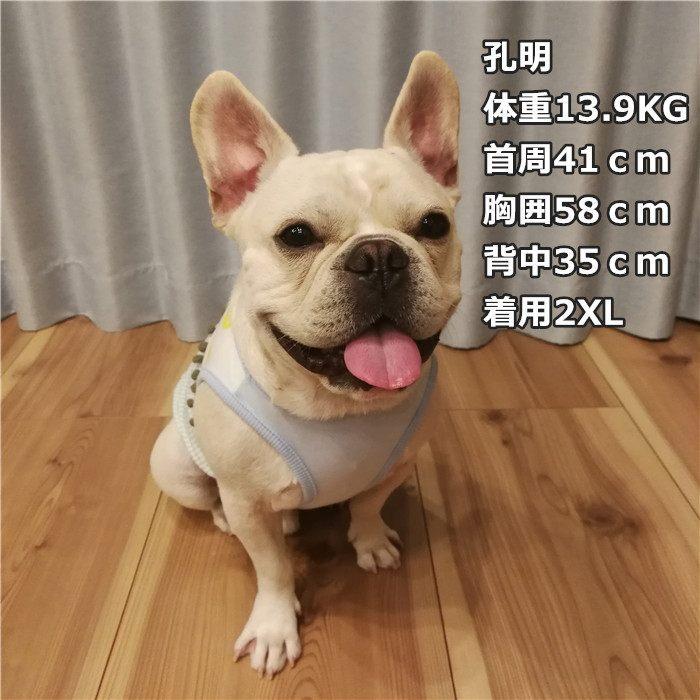 【じょせふぃーぬ】フレブルタンクトップ 楽天市場】フレンチブルドッグ フレブル タンクトップ 春 夏