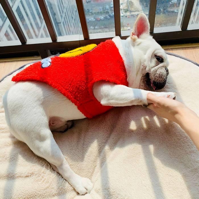 nik フレブルちゃんベストMサイズ フレブル もこもこ ベスト フレンチブルドッグ 服 犬服 ドッグウェア